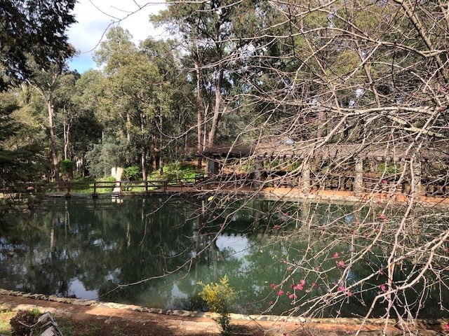 Picture of Araluen Swimming pool.