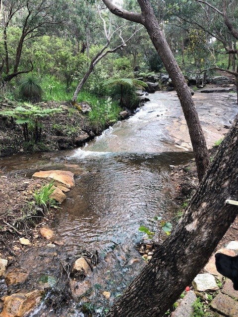 Picture of Araluen creek where people used to wash themselves.