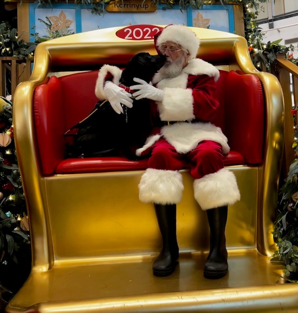 Colleen Ashby's seeing eye dog Rhian in a store on a christmas sled with santa kissing him.