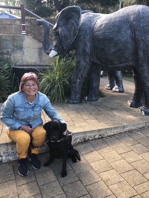 Picture of Colleen and Rhian sitting in front of elephant statue at Cave House gardens 