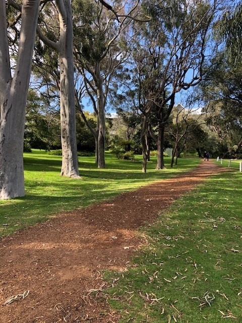 Photos of garden and Sea Shells Apartment, grean lawn and trees in the background.